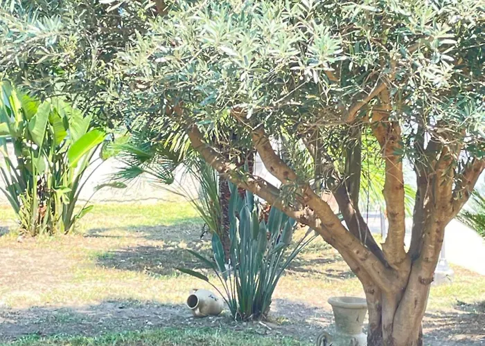 Ar Casa de Férias *